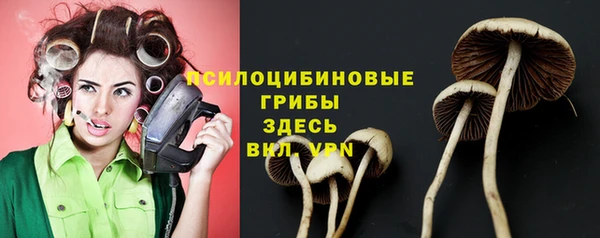 первитин Алексин