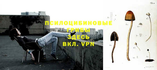 2c-b Алексеевка