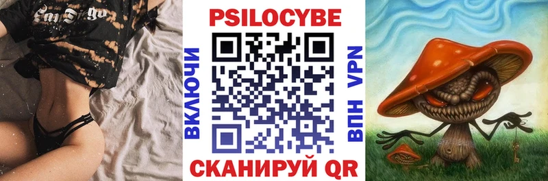 shop состав  где продают   Кедровый  Галлюциногенные грибы мицелий 